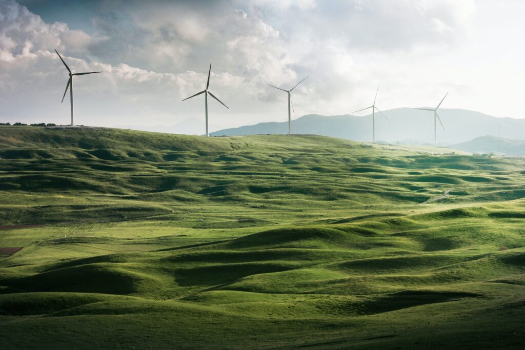 ella-olsson-2IxTgsgFi-s-unsplash Green Marketing