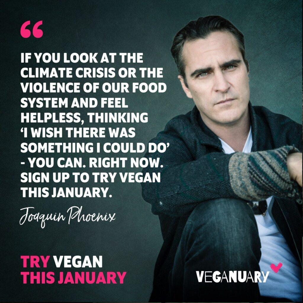 Strategia vegan marketing